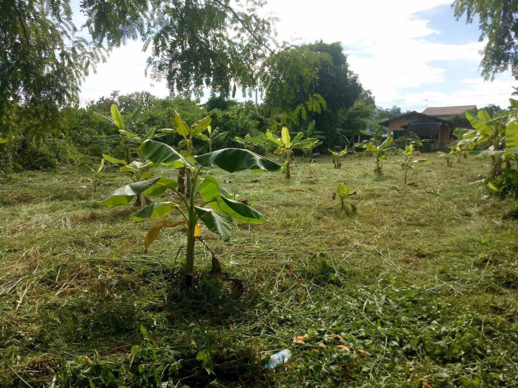 ที่สวยๆ-เหมาะสำหรับทำที่พักรถยนต์ขนสินค้าข้ามชายแดนไทย-สปปลาว-จีน