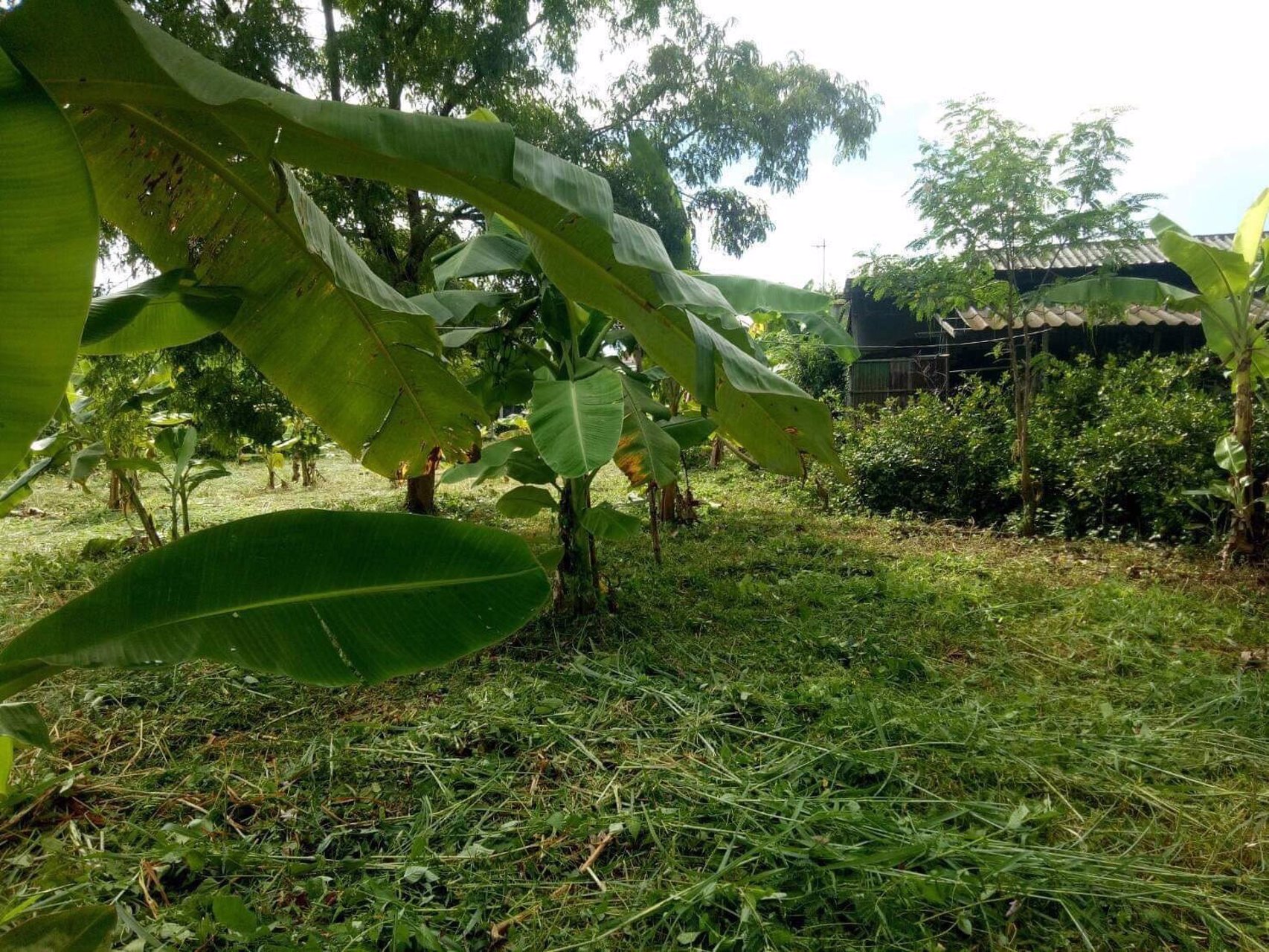 ที่สวยๆ-เหมาะสำหรับทำที่พักรถยนต์ขนสินค้าข้ามชายแดนไทย-สปปลาว-จีน