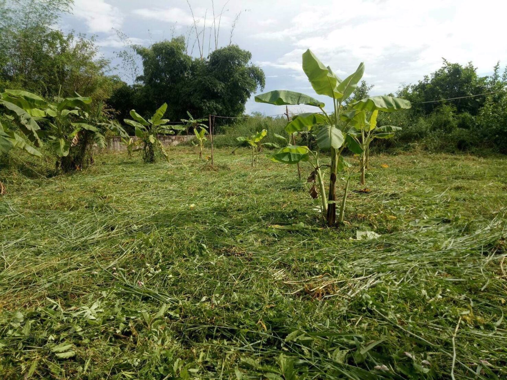 ที่สวยๆ-เหมาะสำหรับทำที่พักรถยนต์ขนสินค้าข้ามชายแดนไทย-สปปลาว-จีน