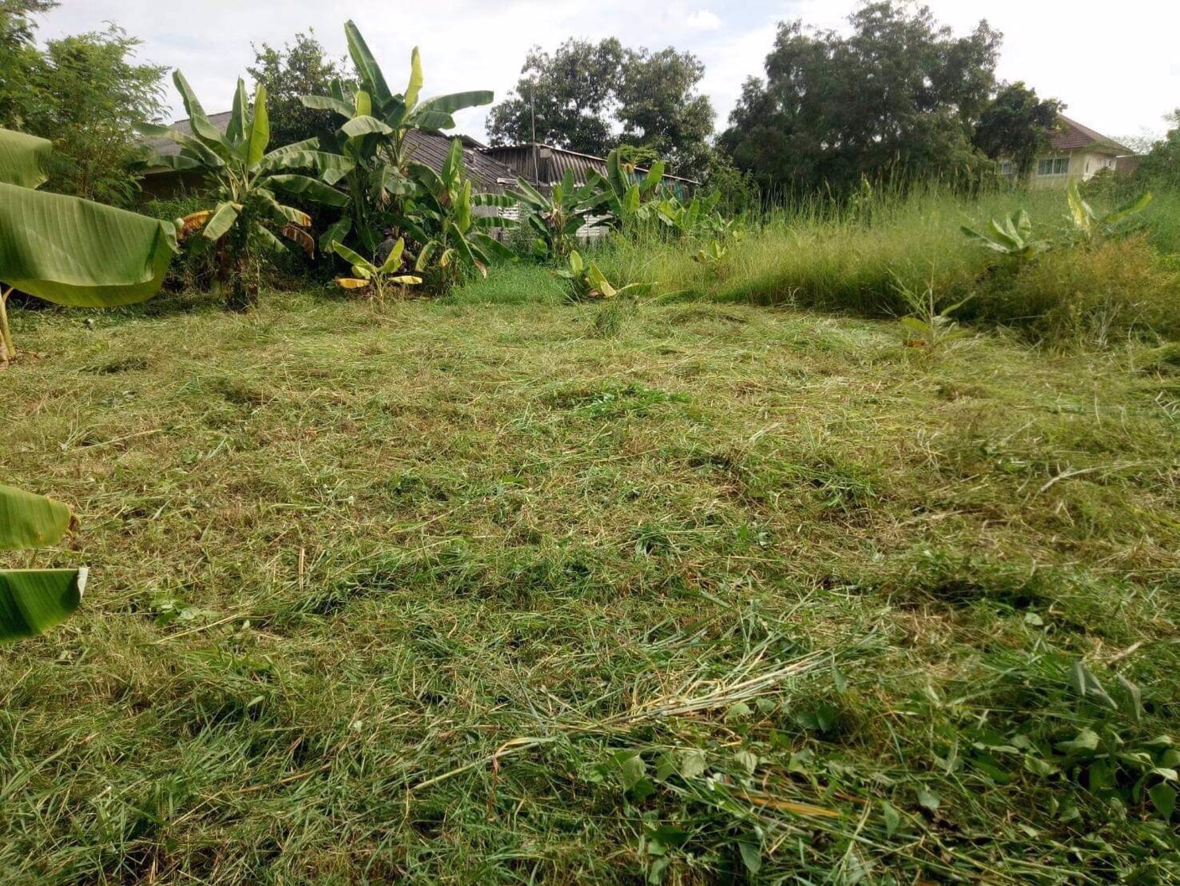 ที่สวยๆ-เหมาะสำหรับทำที่พักรถยนต์ขนสินค้าข้ามชายแดนไทย-สปปลาว-จีน