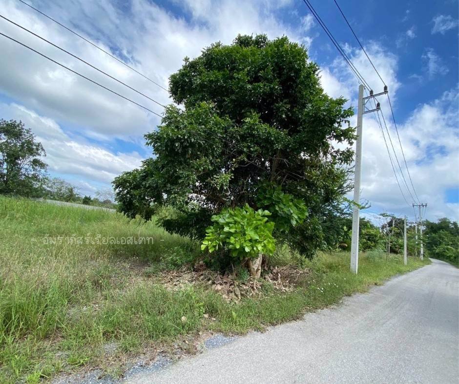 ขายที่เปล่าปากช่องวิวภูเขาปากทางขึ้นเขาใหญ่