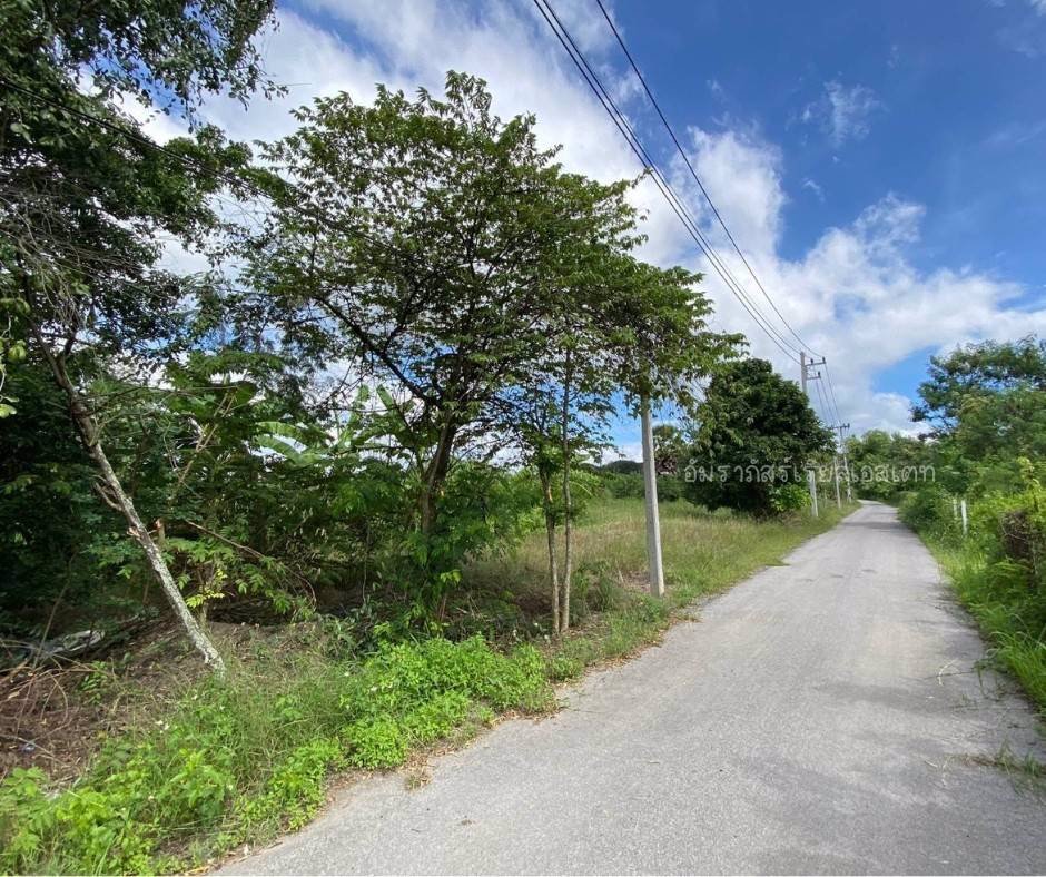 ขายที่เปล่าปากช่องวิวภูเขาปากทางขึ้นเขาใหญ่