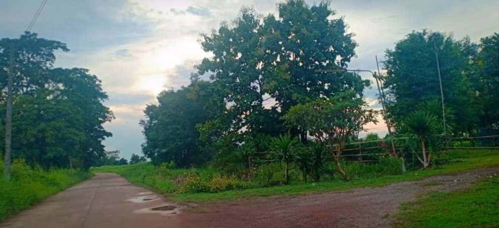 ขายที่ดิน-เนื้อที่-50-ตรว-ติดถนนคอนกรีต-มีไฟฟ้า-ถมแล้ว-มีเพื่อนบ้าน