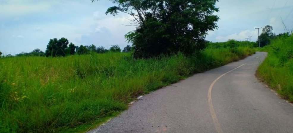 ขายที่ดิน-1ไร่-ราคา149000บาท-เงินสด-เงินผ่อน-