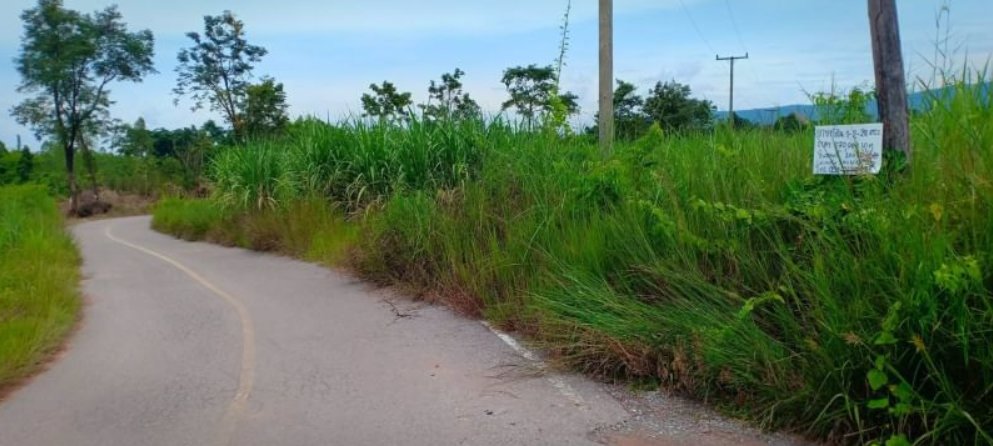 ขายที่ดิน-1ไร่-ราคา149000บาท-เงินสด-เงินผ่อน-