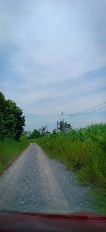 ขายที่ดิน-1ไร่-ราคา149000บาท-เงินสด-เงินผ่อน-