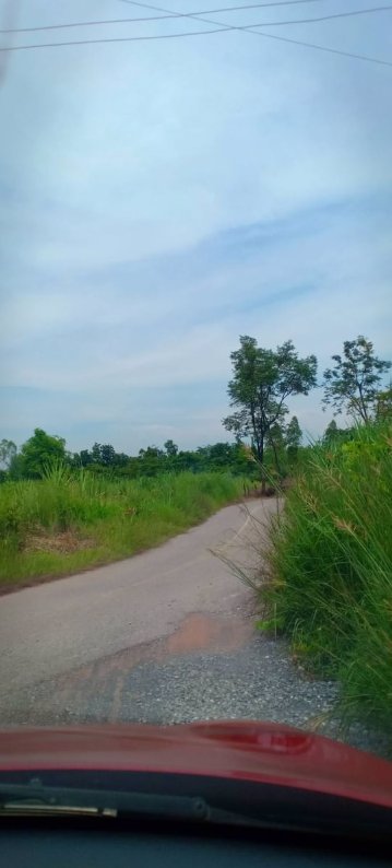 ขายที่ดิน-1ไร่-ราคา149000บาท-เงินสด-เงินผ่อน-