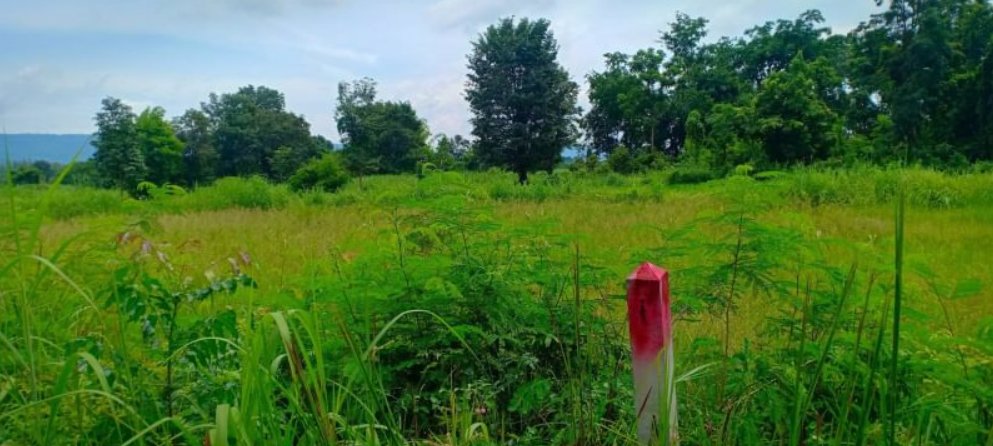 ขายที่ดิน-1ไร่-ราคา149000บาท-เงินสด-เงินผ่อน-