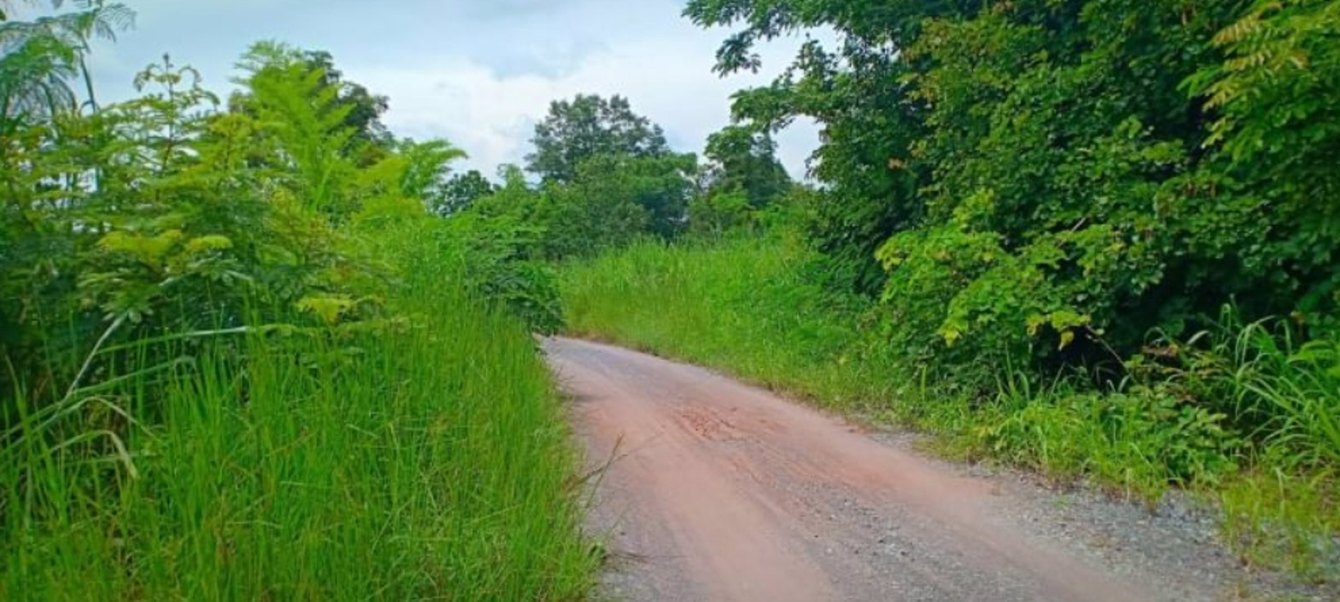 ขายที่ดิน-1ไร่-ราคา149000บาท-เงินสด-เงินผ่อน-