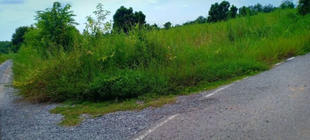 ขายที่ดิน-1ไร่-ราคา149000บาท-เงินสด-เงินผ่อน-