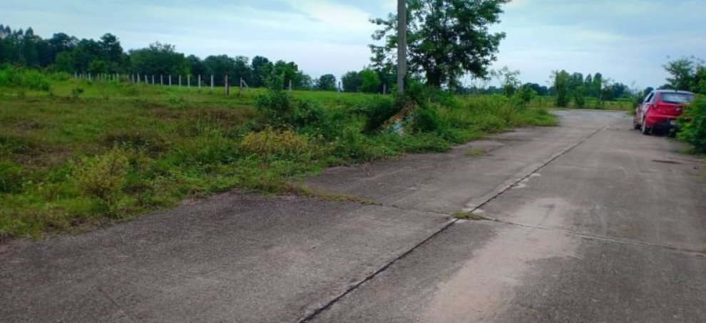 ขายที่ดิน-100-ตรว-ราคา15000บาท-ผ่อนวัน100บาท-