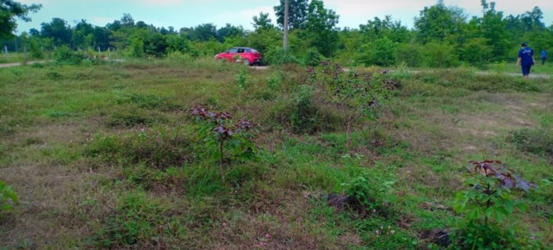 ขายที่ดิน-100-ตรว-ราคา15000บาท-ผ่อนวัน100บาท-