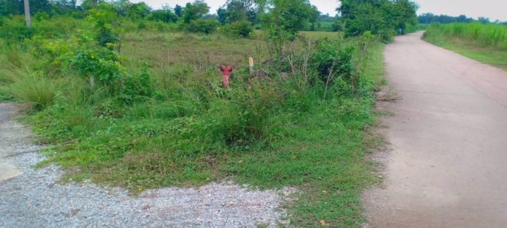 ขายที่ดิน-100-ตรว-ราคา15000บาท-ผ่อนวัน100บาท-