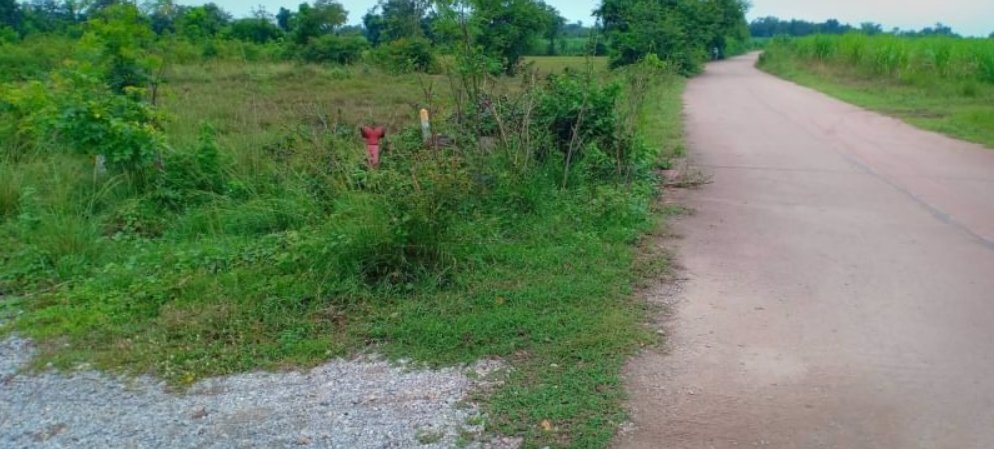 ขายที่ดิน-100-ตรว-ราคา15000บาท-ผ่อนวัน100บาท-