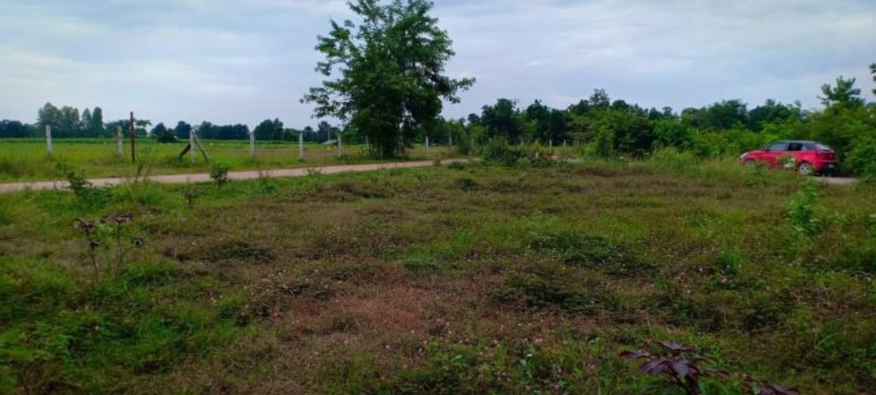 ขายที่ดิน-100-ตรว-ราคา15000บาท-ผ่อนวัน100บาท-