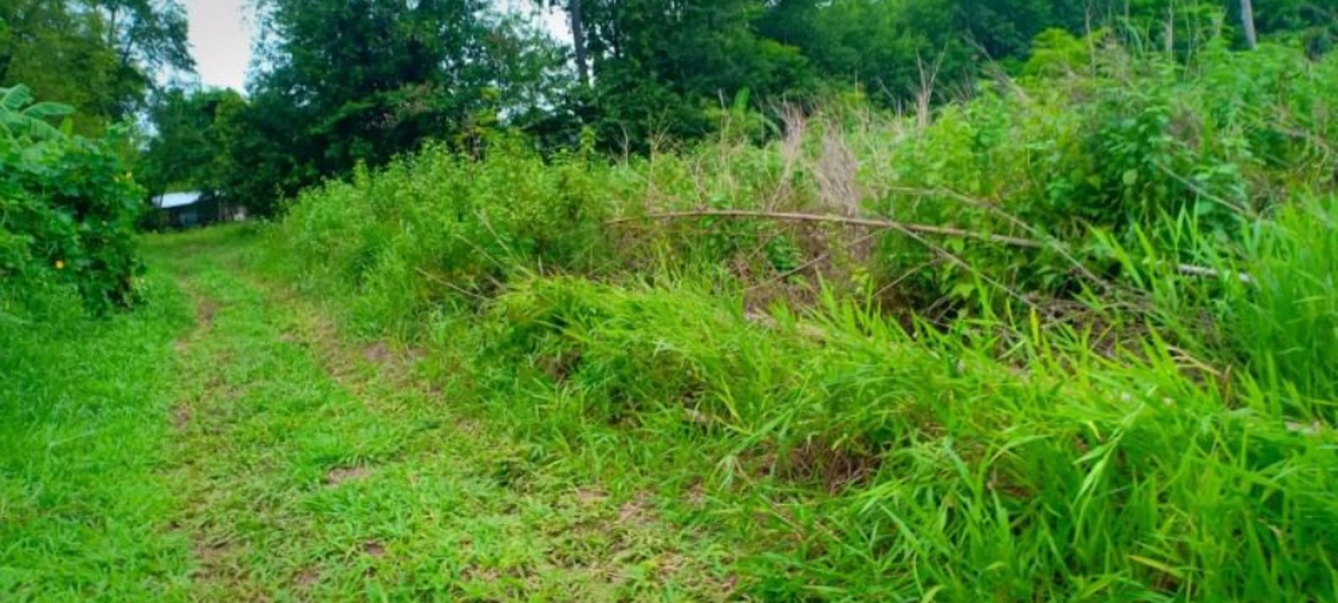 ขายที่สวนติดบ้านคน-เนื้อที่-1-ไร่-2-งาน-23-ตรว