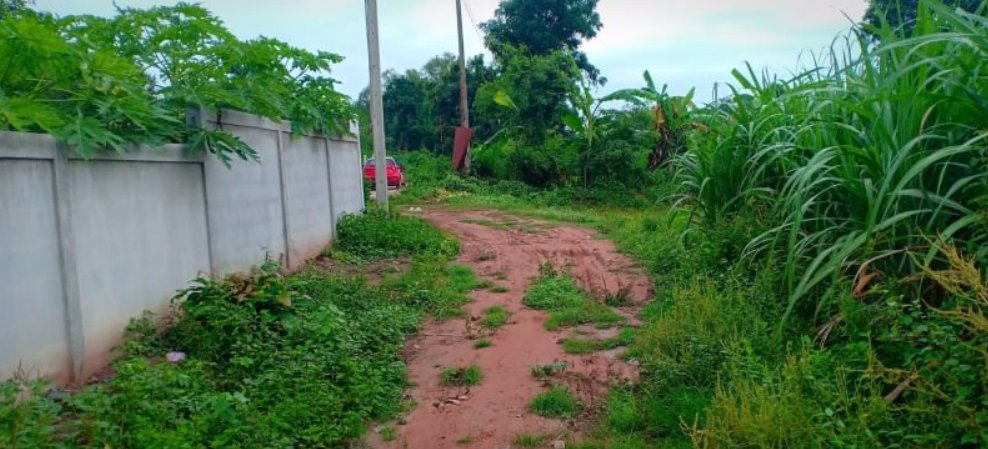 ขายที่สวนติดบ้านคน-เนื้อที่-1-ไร่-2-งาน-23-ตรว