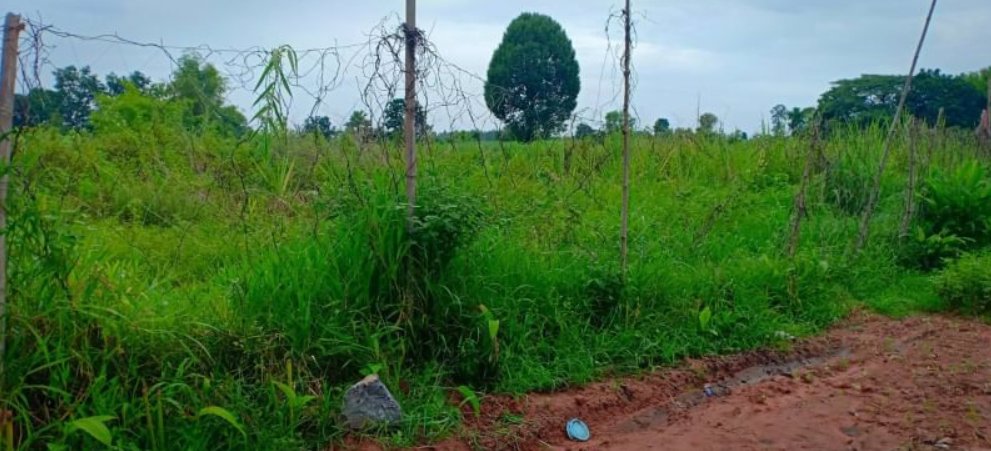 ขายที่สวนติดบ้านคน-เนื้อที่-1-ไร่-2-งาน-23-ตรว