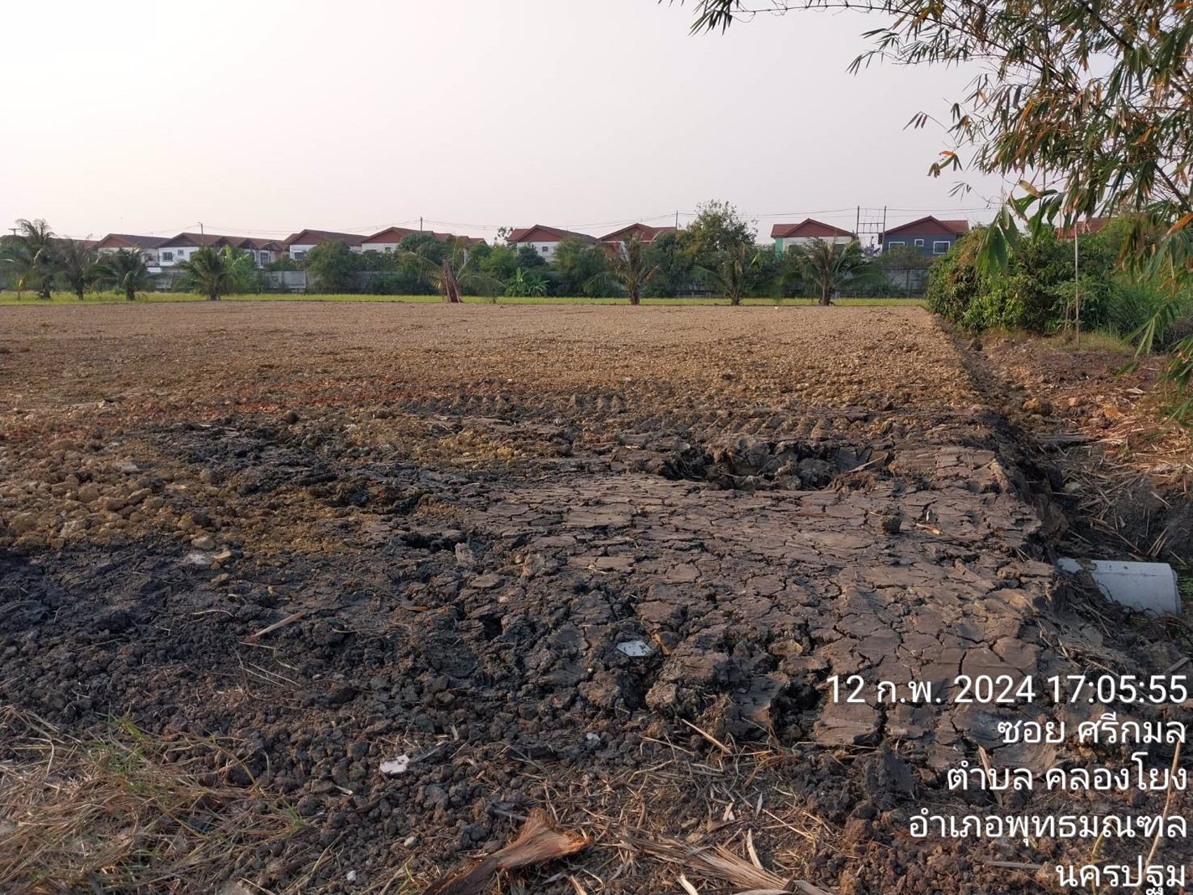 ขายที่ดินแปลงนี้แบ่งขาย-เนื้อที่เต็ม-1ไร่-2งาน-40ตารางวา-ถมแล้ว