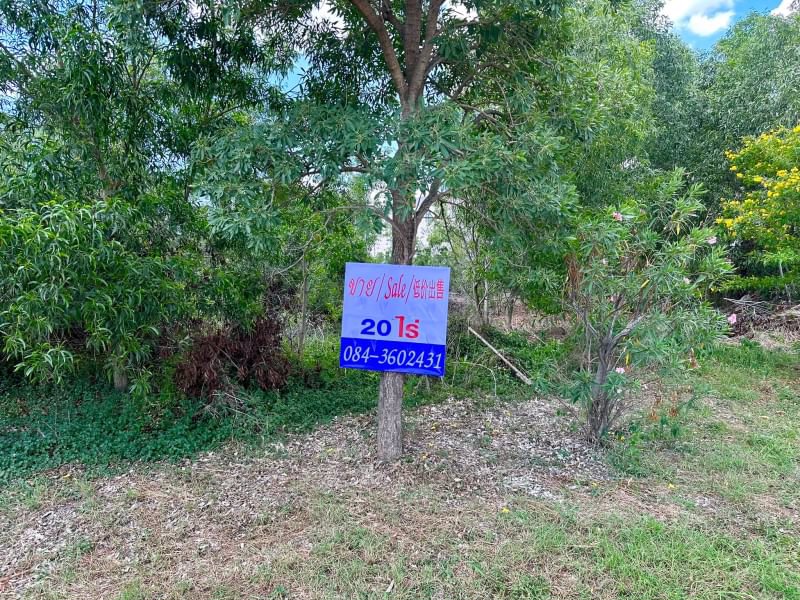 ขายด่วน-ที่ดินผังสีม่วง-โรจนะ-อยุธยา