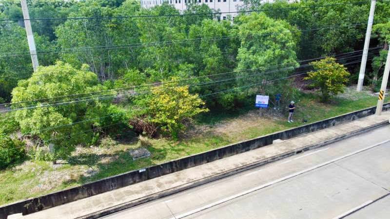 ขายด่วน-ที่ดินผังสีม่วง-โรจนะ-อยุธยา