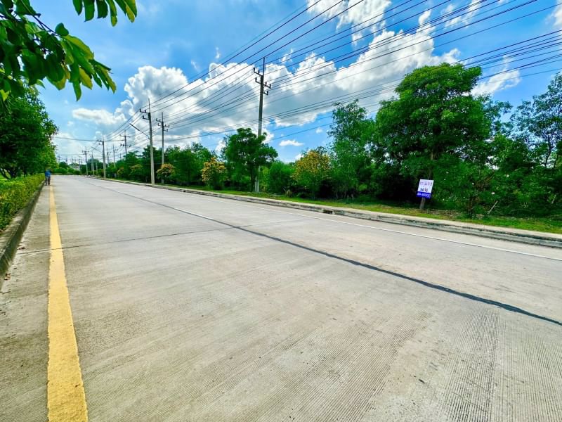 ขายด่วน-ที่ดินผังสีม่วง-โรจนะ-อยุธยา