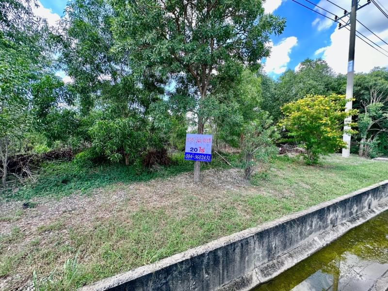 ขายด่วน-ที่ดินผังสีม่วง-โรจนะ-อยุธยา