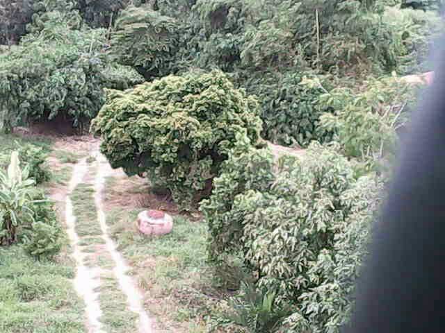 ขายที่ดิน-จปทุมธานี-อลาดหลุมแก้ว