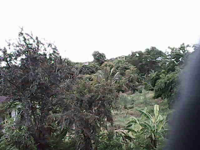 ขายที่ดิน-จปทุมธานี-อลาดหลุมแก้ว