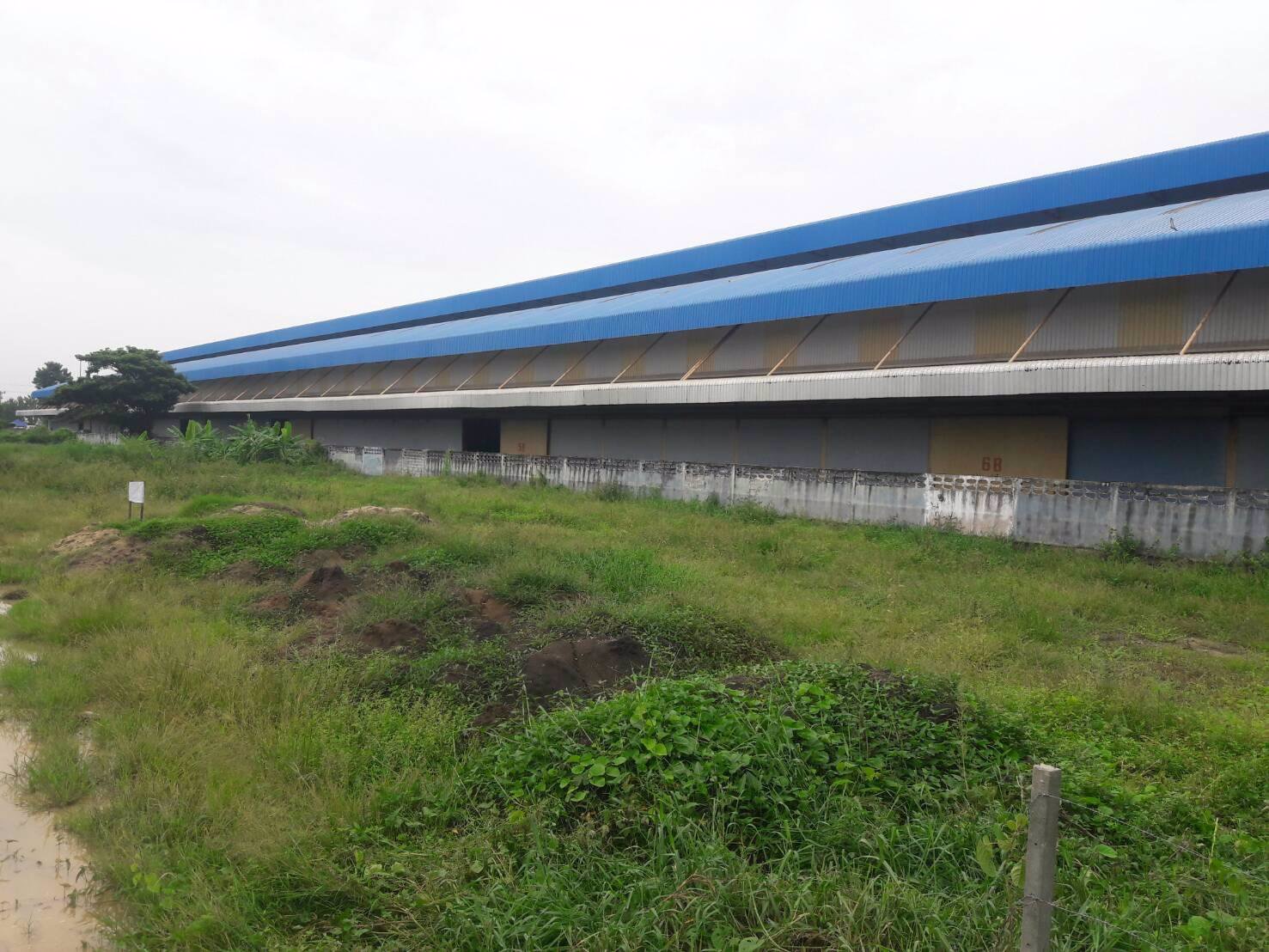 ขายที่ดิน-จปทุมธานี-อลาดหลุมแก้ว