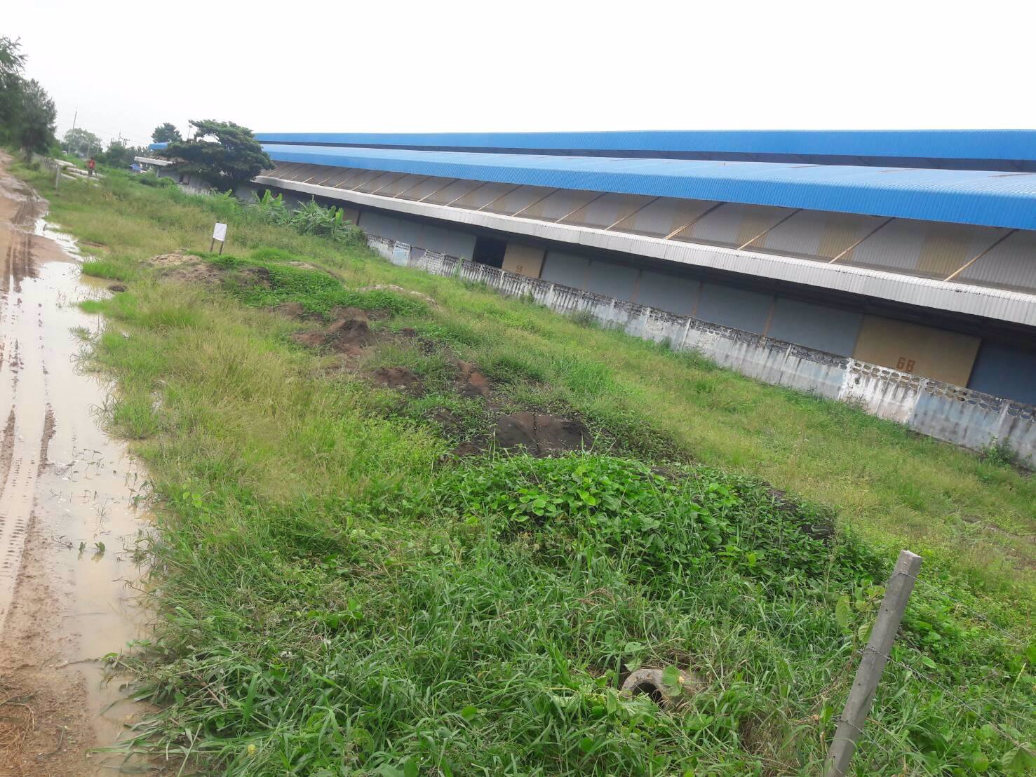 ขายที่ดิน-จปทุมธานี-อลาดหลุมแก้ว