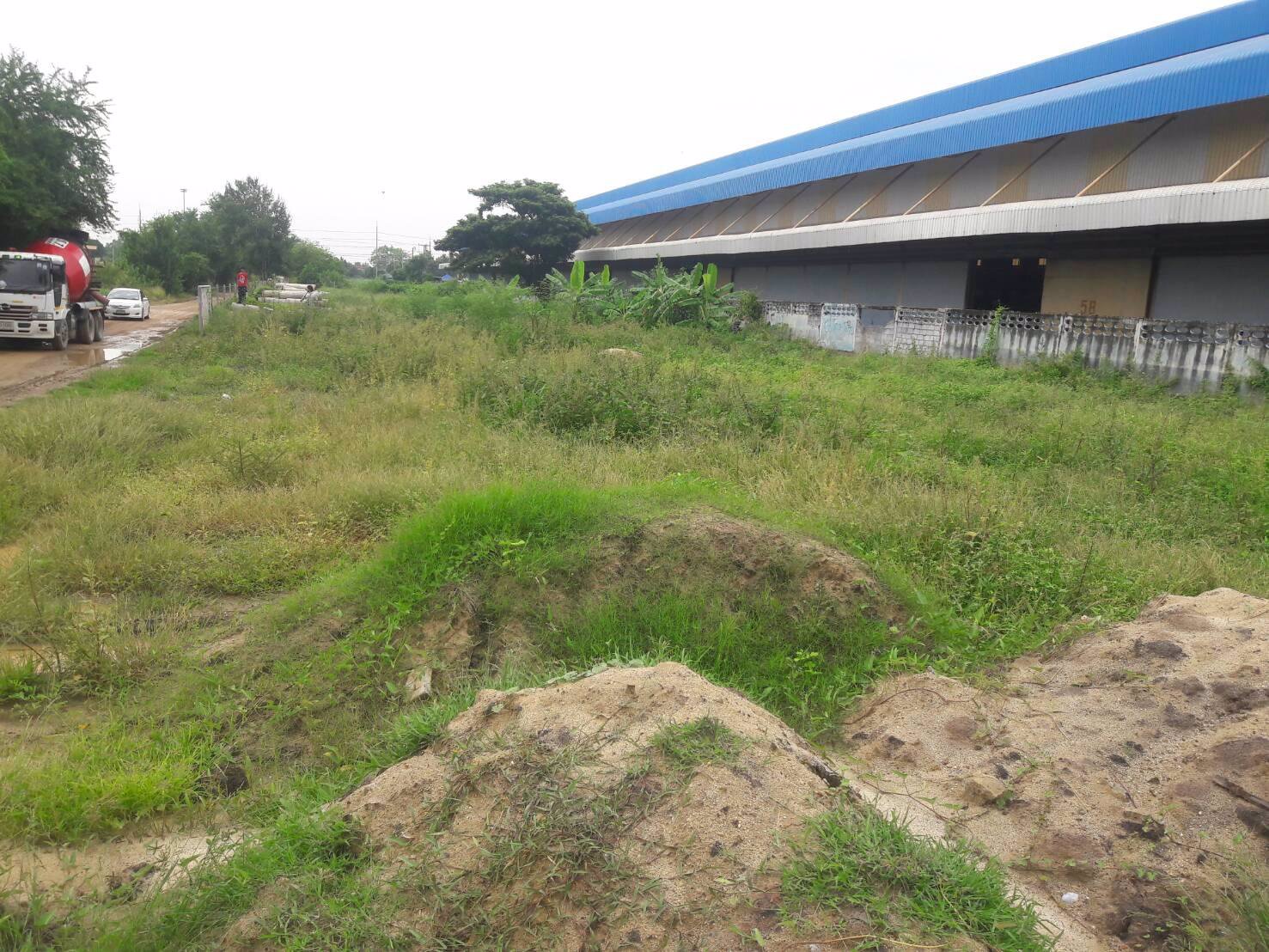 ขายที่ดิน-จปทุมธานี-อลาดหลุมแก้ว