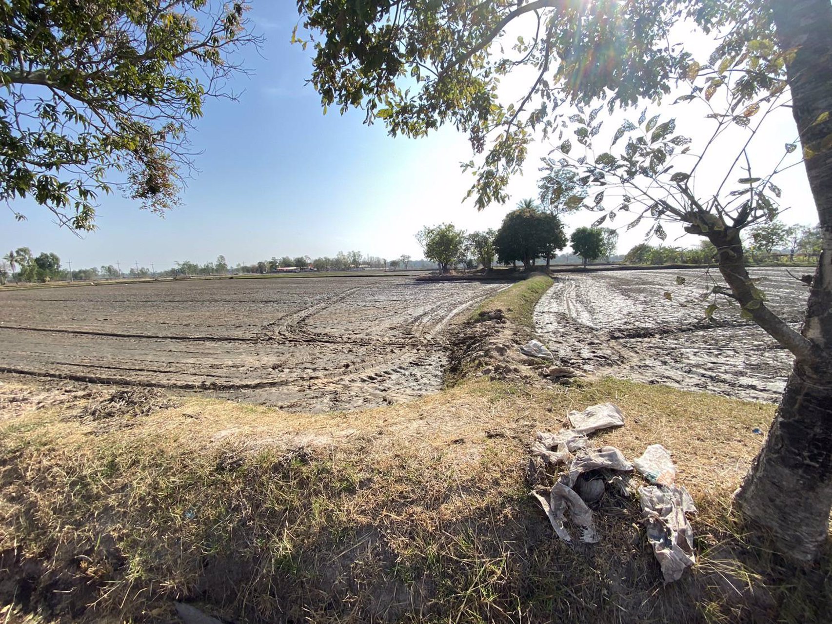 ขายที่ดินเนื้อที่-11-ไร่-1-งาน-26-ตารางวา