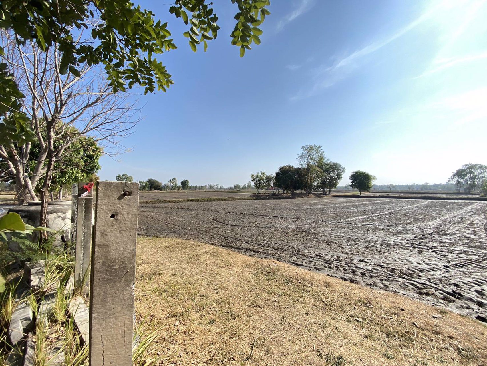 ขายที่ดินเนื้อที่-11-ไร่-1-งาน-26-ตารางวา