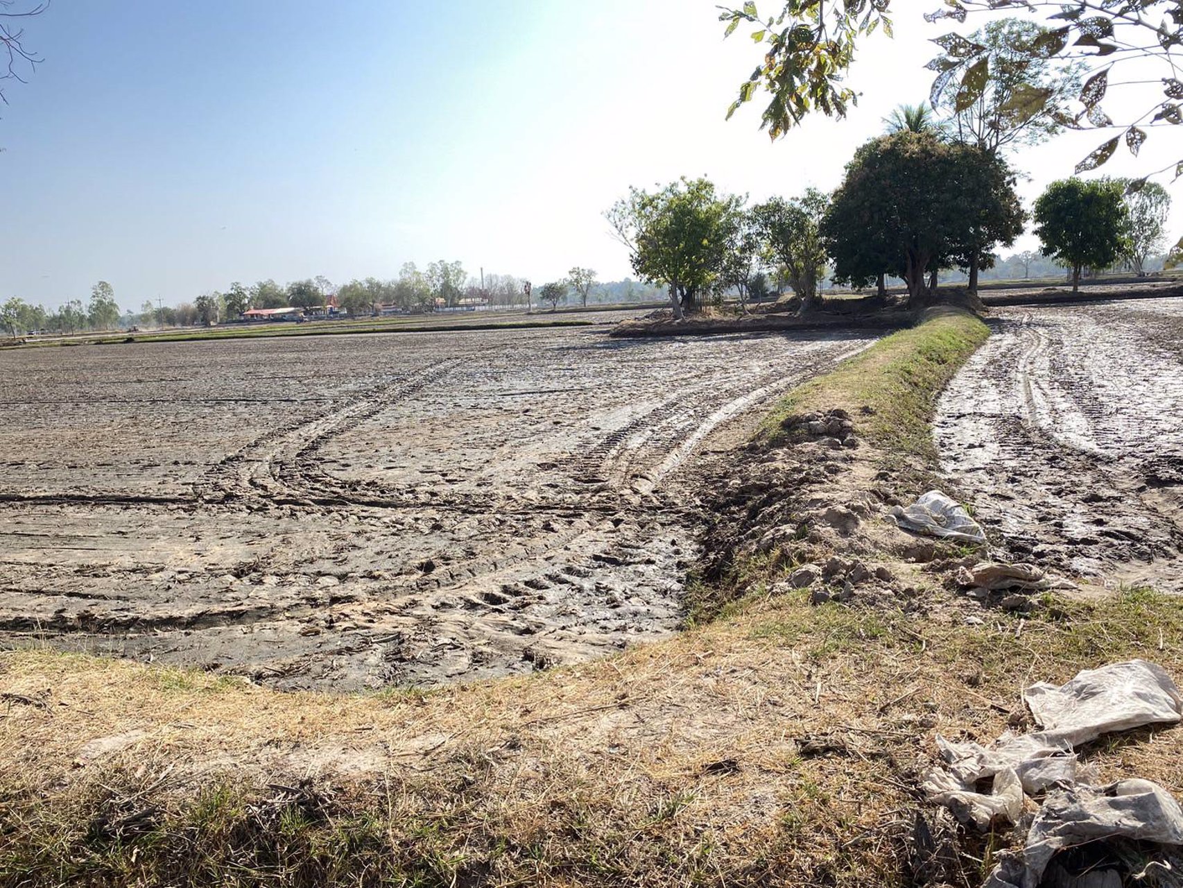 ขายที่ดินเนื้อที่-11-ไร่-1-งาน-26-ตารางวา