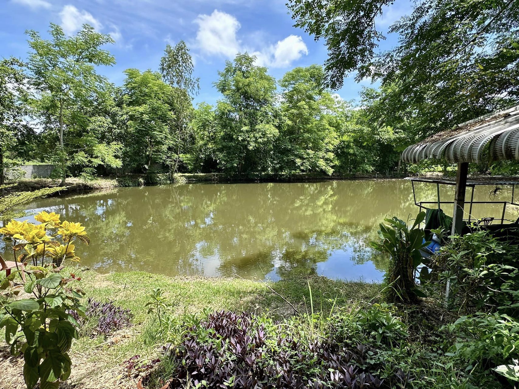 ขายที่ดิน-แก่งคอย-พร้อมห้องเช่า-11-ห้อง