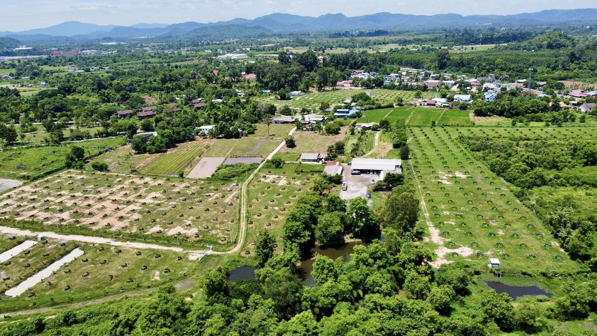 ขายที่ดิน-แก่งคอย-พร้อมห้องเช่า-11-ห้อง