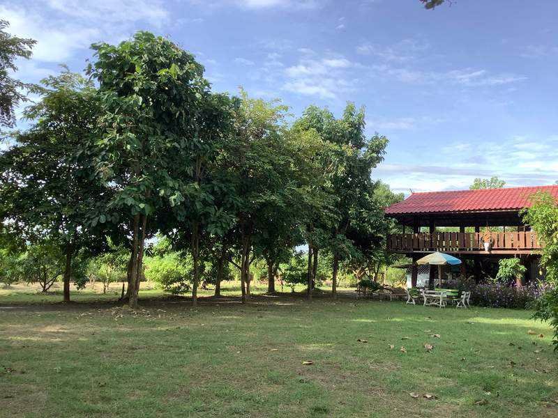 ขายบ้านเดี่ยว-3-ไร่-ติดถนนดำ-ใกล้ถนน-สันกำแพง-แม่ออน-1317-เพียง-1-นาที