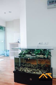 ให้เช่า-lumpini-park-nawamin-si-burapha-1นอน-ขนาด-23-ตรม-ห้องสภาพดี-อยู่ใกล้-bts-ปุณณวิถี