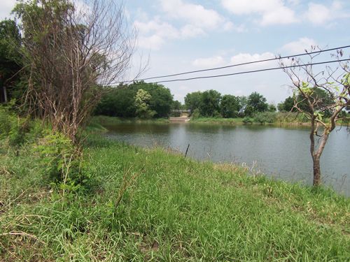 ขาย-ถูกมาก-ที่ดิน-ลำสนธิ-ที่ดินไทย-9-2-35-ไร่-หมู่-8-ตหนองรี-ชัยบาดาล-อลำสนธิ-จลพบุรี-โฉนด