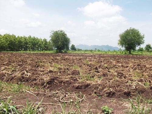 ขาย-ถูกมาก-ที่ดิน-ลำสนธิ-ที่ดินไทย-9-2-35-ไร่-หมู่-8-ตหนองรี-ชัยบาดาล-อลำสนธิ-จลพบุรี-โฉนด