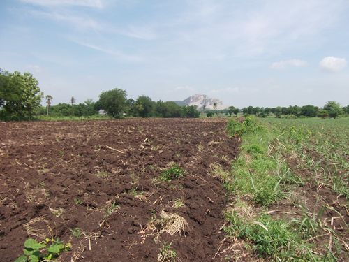 ขาย-ถูกมาก-ที่ดิน-ลำสนธิ-ที่ดินไทย-9-2-35-ไร่-หมู่-8-ตหนองรี-ชัยบาดาล-อลำสนธิ-จลพบุรี-โฉนด