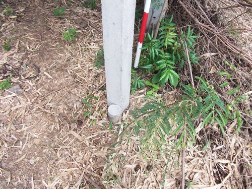 ขาย-ถูกมาก-ที่ดิน-ลำสนธิ-ที่ดินไทย-9-2-35-ไร่-หมู่-8-ตหนองรี-ชัยบาดาล-อลำสนธิ-จลพบุรี-โฉนด