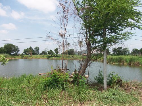 ขาย-ถูกมาก-ที่ดิน-ลำสนธิ-ที่ดินไทย-9-2-35-ไร่-หมู่-8-ตหนองรี-ชัยบาดาล-อลำสนธิ-จลพบุรี-โฉนด