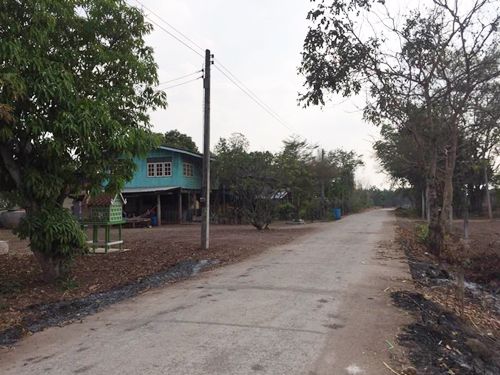 ขาย-ถูกมาก-ที่ดิน-ลำสนธิ-ที่ดินไทย-9-2-35-ไร่-หมู่-8-ตหนองรี-ชัยบาดาล-อลำสนธิ-จลพบุรี-โฉนด