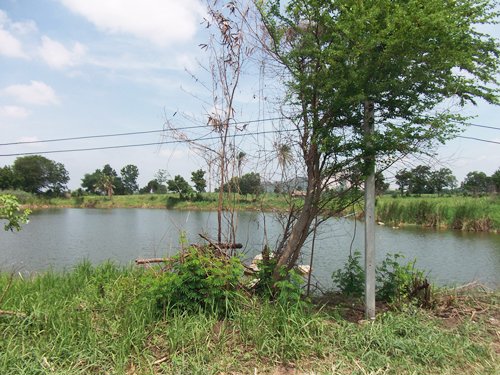 ขายถูก-ที่ดิน-โฉนด-ที่ดินไทย-9-2-35-ไร่-ราคา-1600000-บาท-ลำสนธิ-ถนนคอนกรีต-มีตาน้ำไหลตลอดปี-ติดฝ