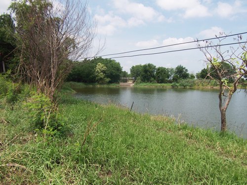 ขายถูก-ที่ดิน-โฉนด-ที่ดินไทย-9-2-35-ไร่-ราคา-1600000-บาท-ลำสนธิ-ถนนคอนกรีต-มีตาน้ำไหลตลอดปี-ติดฝ