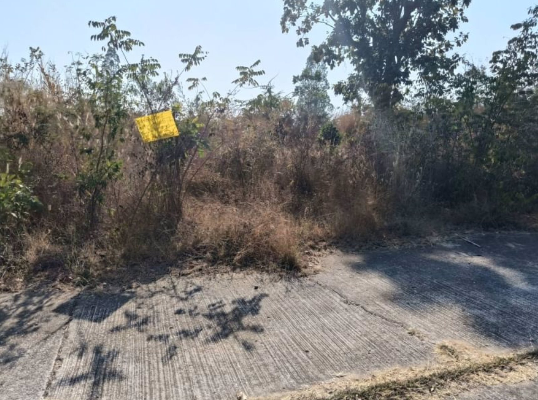 ขายที่ดินติดถนนคอนกรีต-เนื้อที่-98ตรว