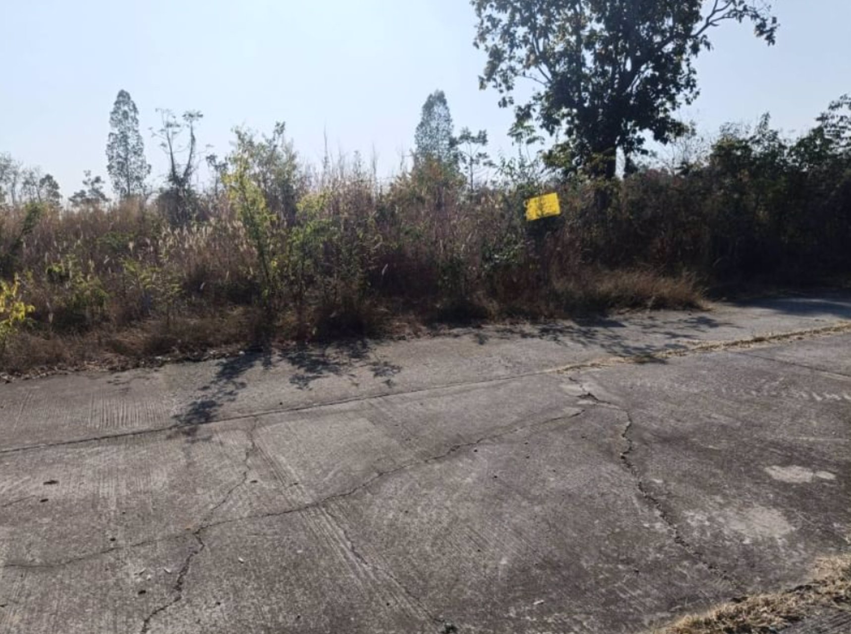 ขายที่ดินติดถนนคอนกรีต-เนื้อที่-98ตรว