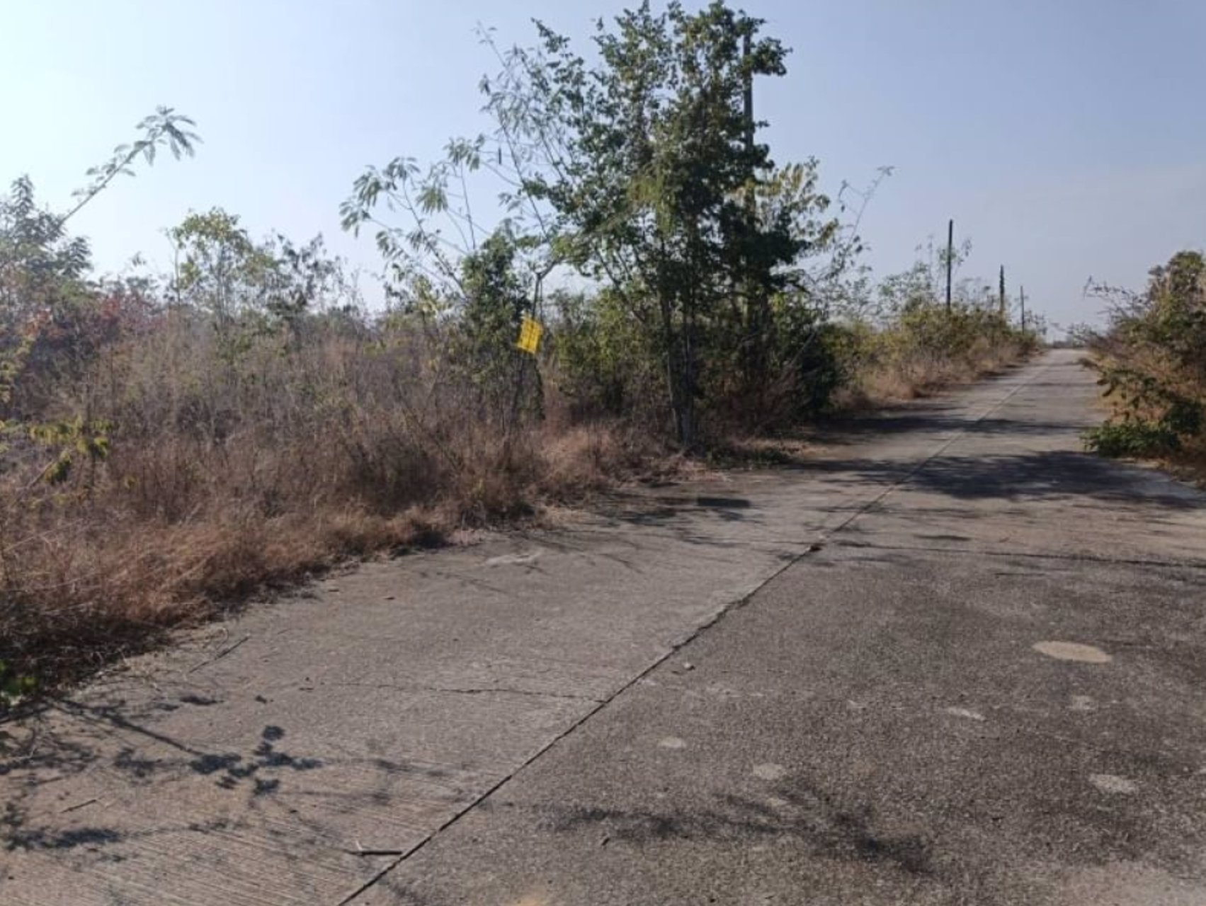 ขายที่ดินติดถนนคอนกรีต-เนื้อที่-98ตรว